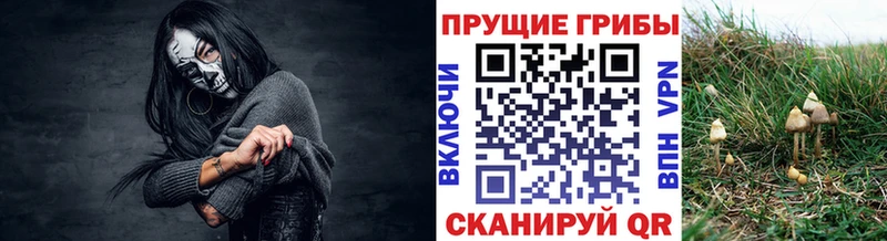 Галлюциногенные грибы прущие грибы  Купить  Скопин 